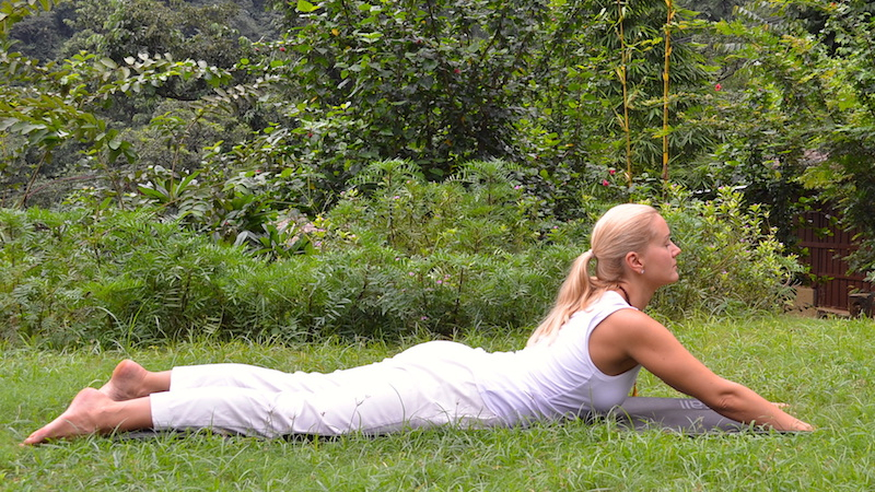Variation 1 of Bhujangasana (Cobra Pose)